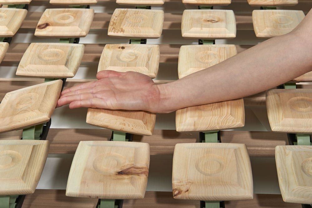 Ergo-Arvenso Z and Ergo-Arvenso B - Image 2